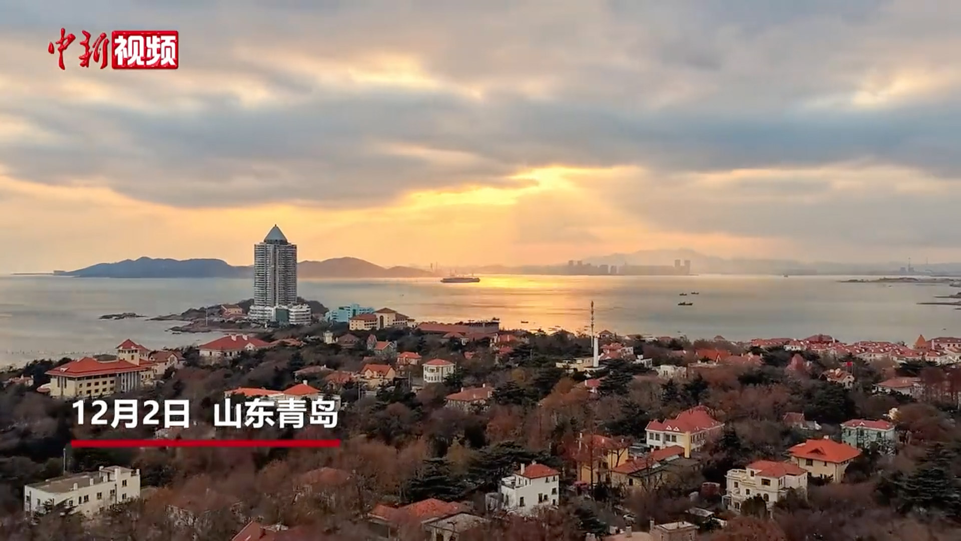 冬日“瞰”青岛 赴一场碧海蓝天的“鸥遇”