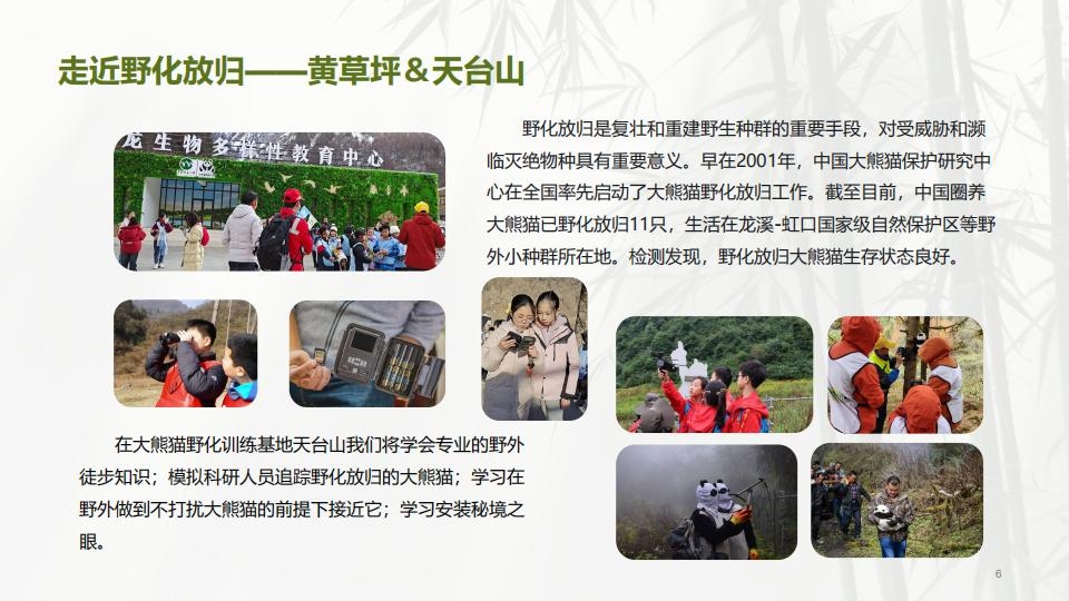（6天5夜）大熊猫野化与放归培训课题探究_06.jpg