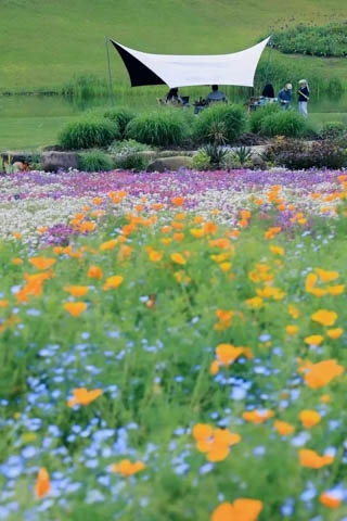 DM_20260506094659_010.jpg