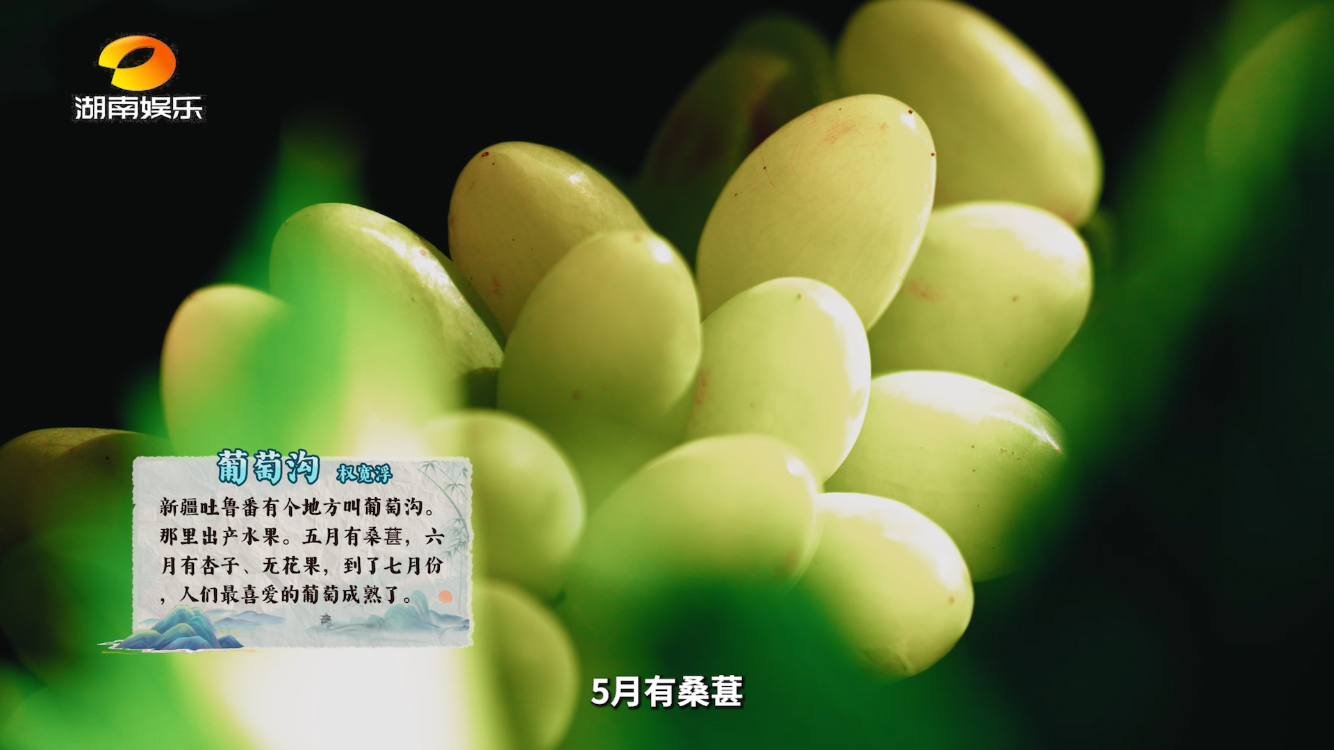 跟着课本去旅行・探秘吐鲁番葡萄沟