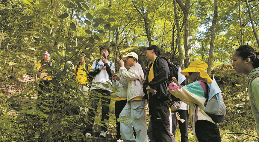 s2926-image.png