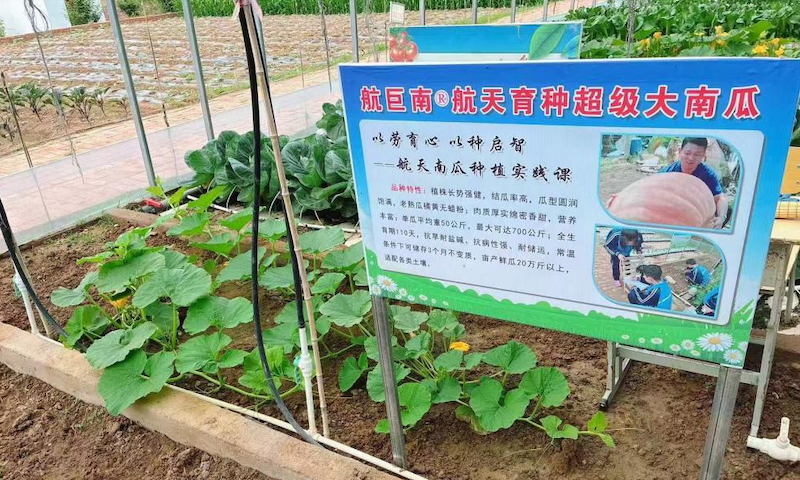 j8108-第5页-5.PNG